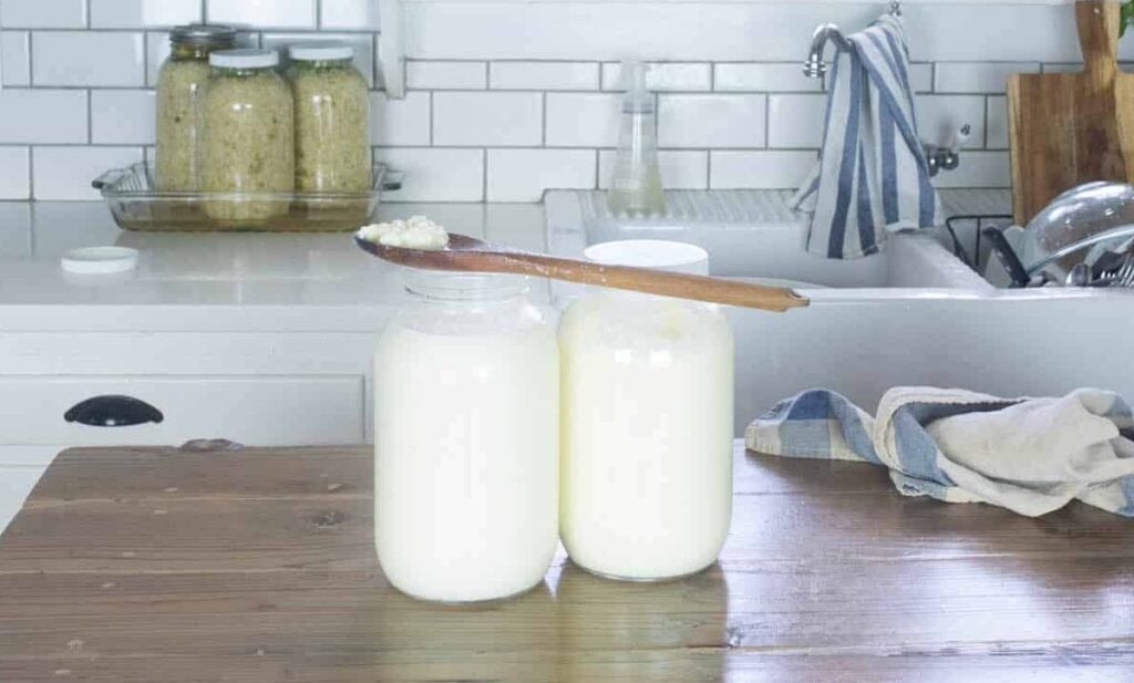 Two jars of kefir on a countertop.