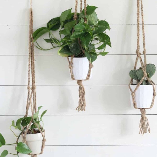 three macrame plant holders made from jute with plants hanging on a white shiplap wall