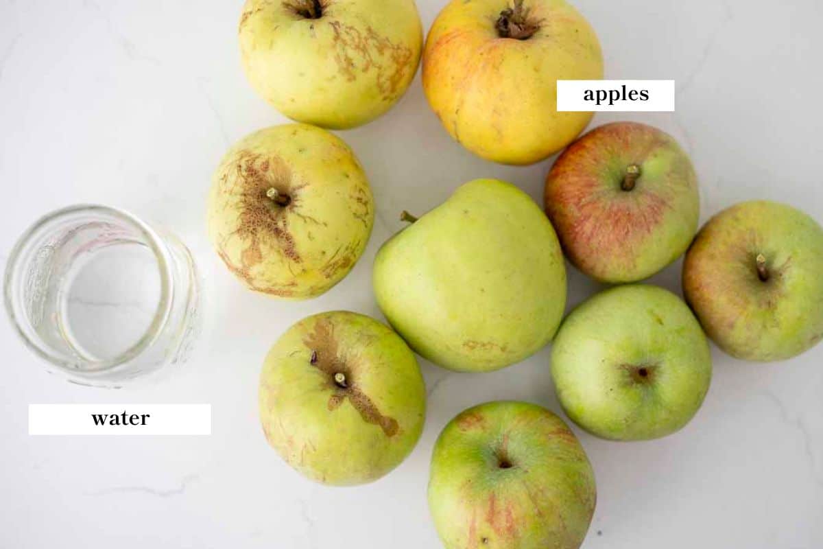 apples and a glass of water on a white countertop.