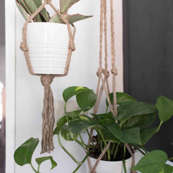 Macrame Plant Hanger DIY Video Tutorial