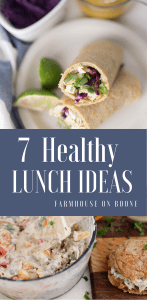 Healthy Lunch Ideas for Family - Farmhouse on Boone