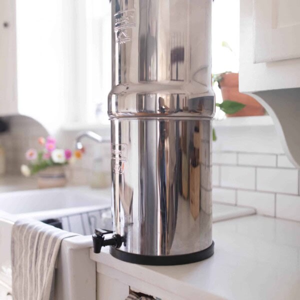 Berkey water filter review large family healthy water