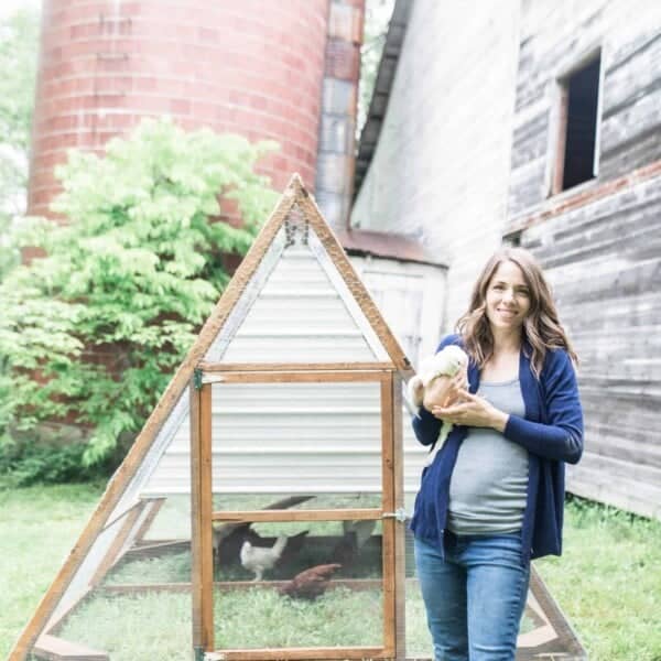 lisa bass farmhouse on boone by a fram chicken tractor diy coop build