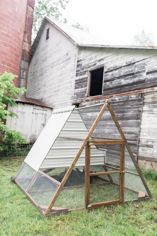 Our A-Frame Chicken Tractor - Farmhouse on Boone