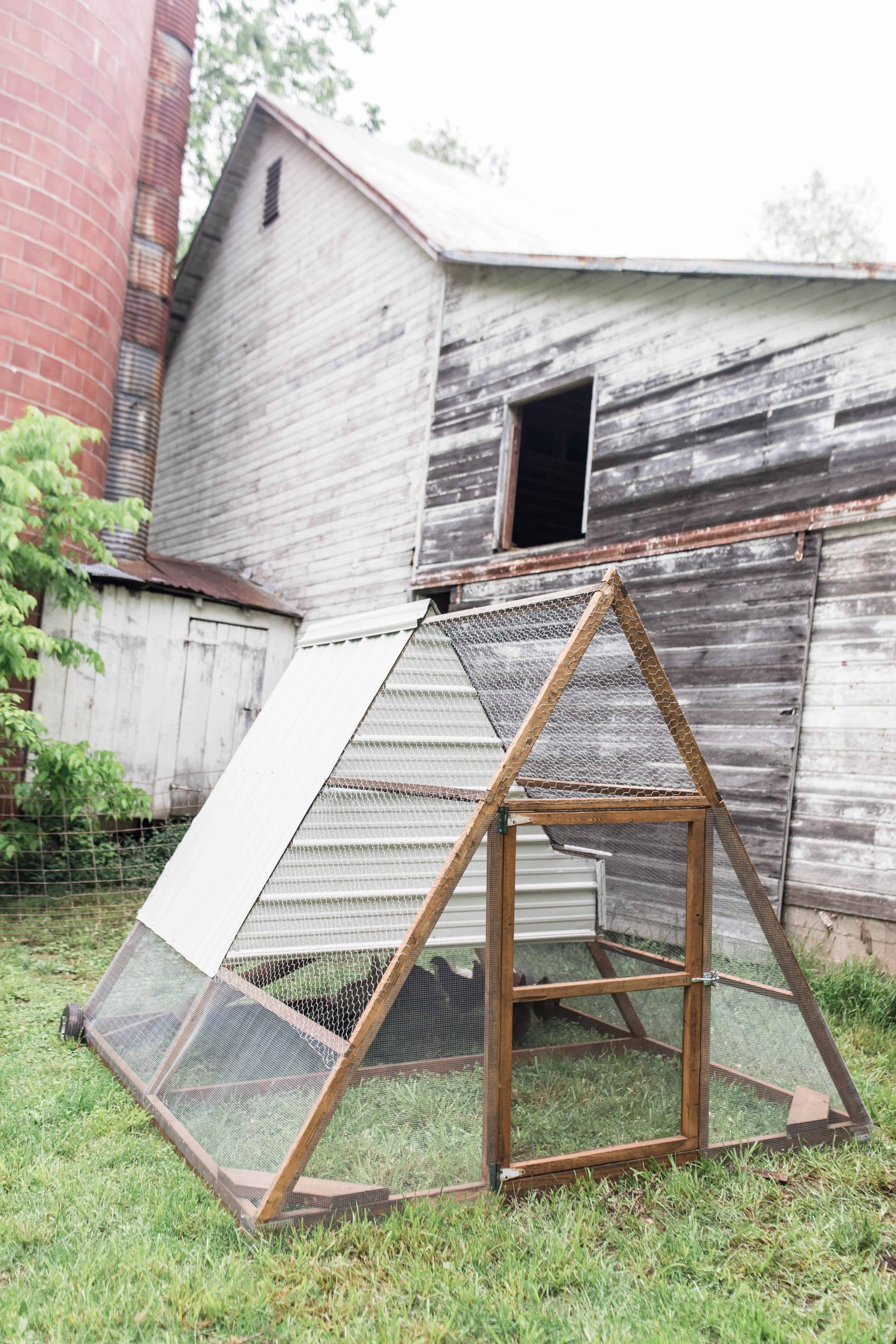 Diy A Frame Chicken Tractor