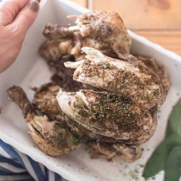 Instant Pot Whole chicken on a white platter with bay leaves