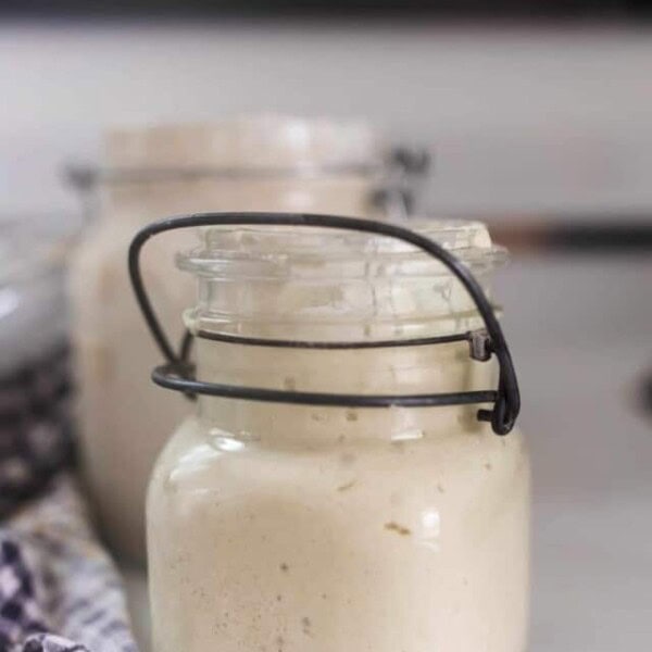 gluten-free-sourdough-starter-11-copy-1