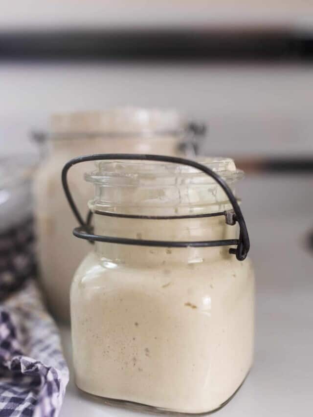 How To Dry Sourdough Starter - Farmhouse on Boone