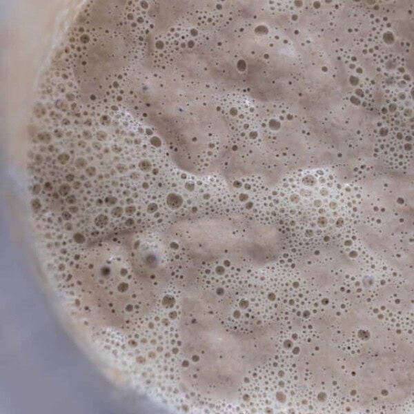 bubbly sourdough starter in a bowl