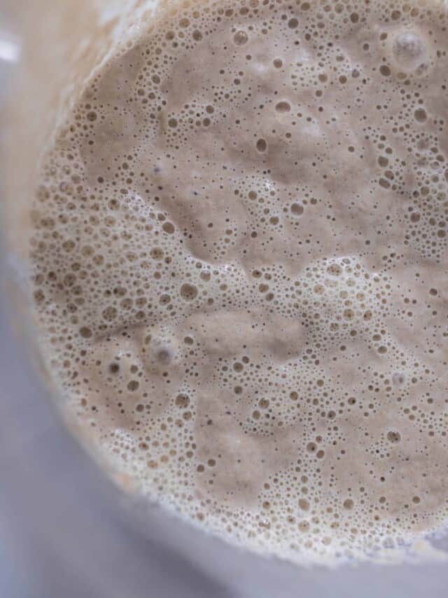 bubbly sourdough starter in a bowl