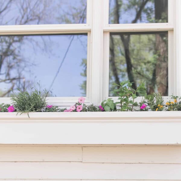 a white window box hanging below a window on a white farmhouse with pink and yellow flowers in it.