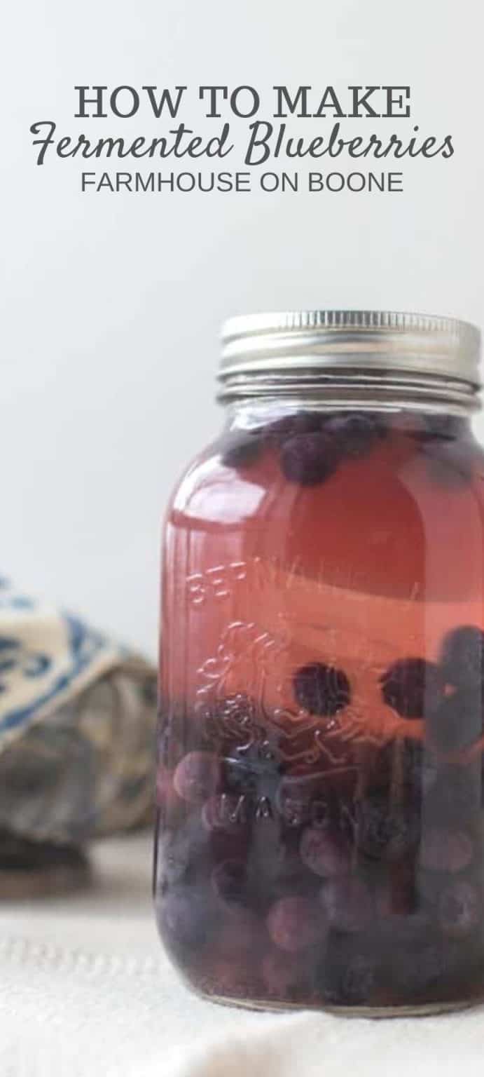 How To Make Fermented Fruit - Farmhouse On Boone