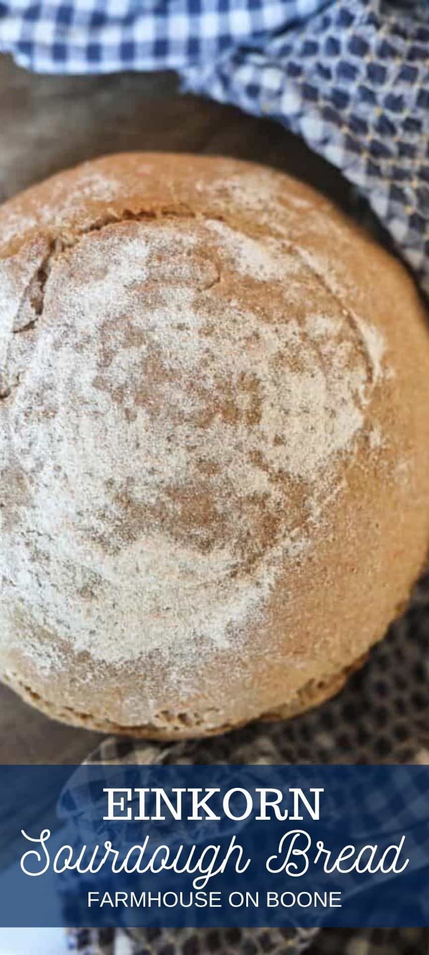 Einkorn Sourdough Bread - Farmhouse On Boone