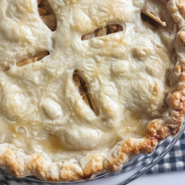 sourdough pie crust with golden brown edges