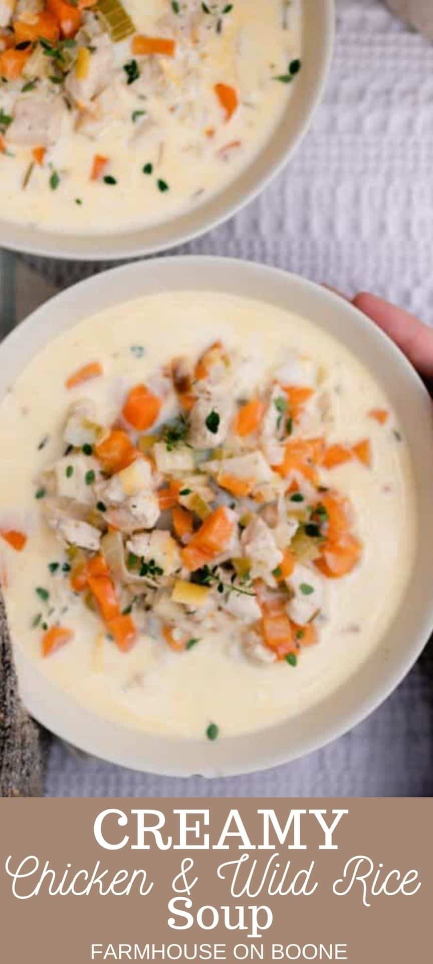 https://www.farmhouseonboone.com/wp-content/uploads/2020/10/chicken-and-wild-rice-soup-3.jpg