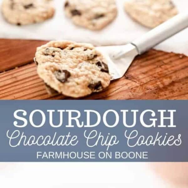 cropped-Sourdough-chocolate-chip-cookies-2.jpg