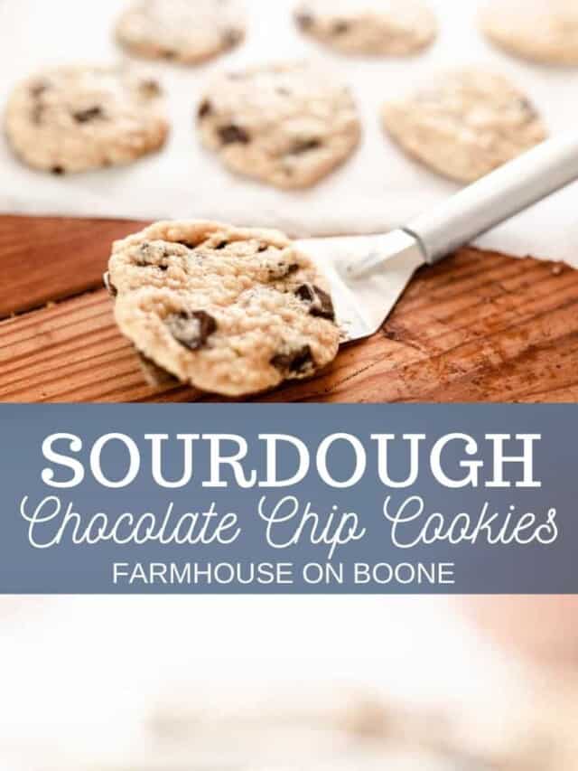 cropped-Sourdough-chocolate-chip-cookies-2.jpg