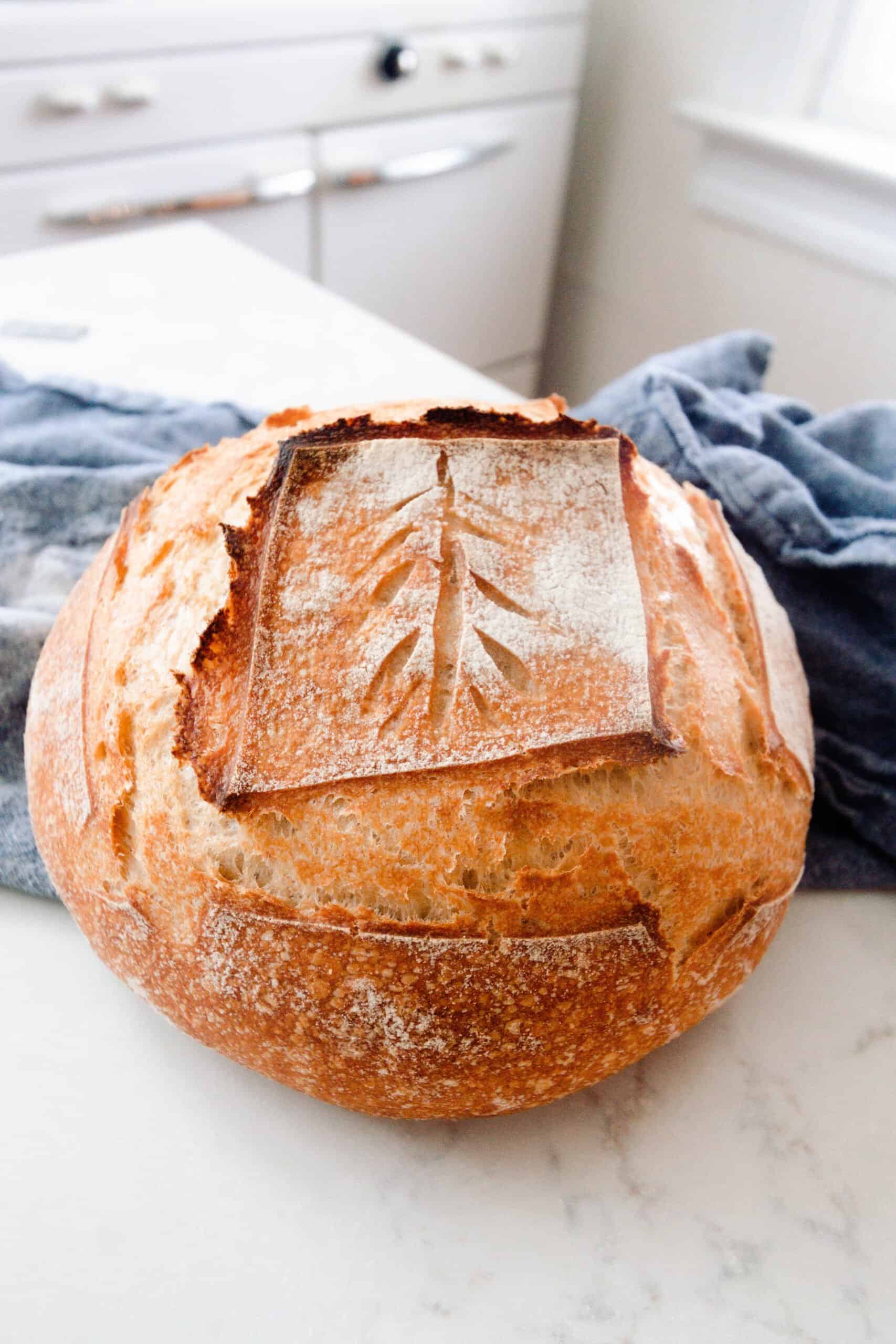 No-Knead Sourdough Bread - Farmhouse On Boone