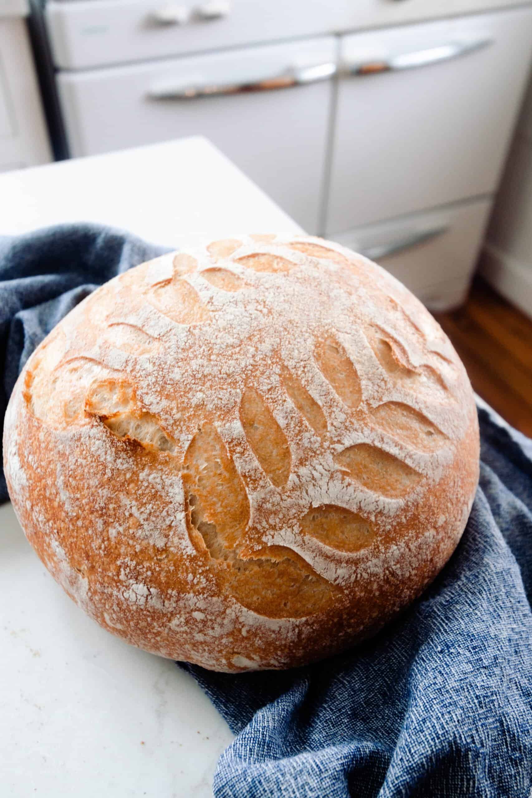 No Knead Dutch Oven Bread - The Happier Homemaker