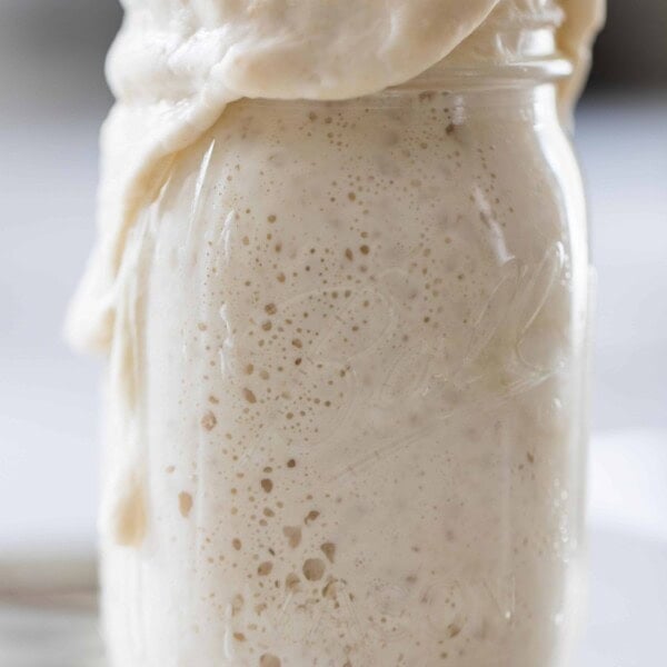 bubbly overflowing sourdough starter a white countertop