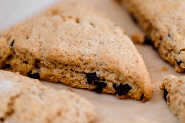 close up picture of sourdough pumpkin scones with chocolate chips on parchment lined baking sheets