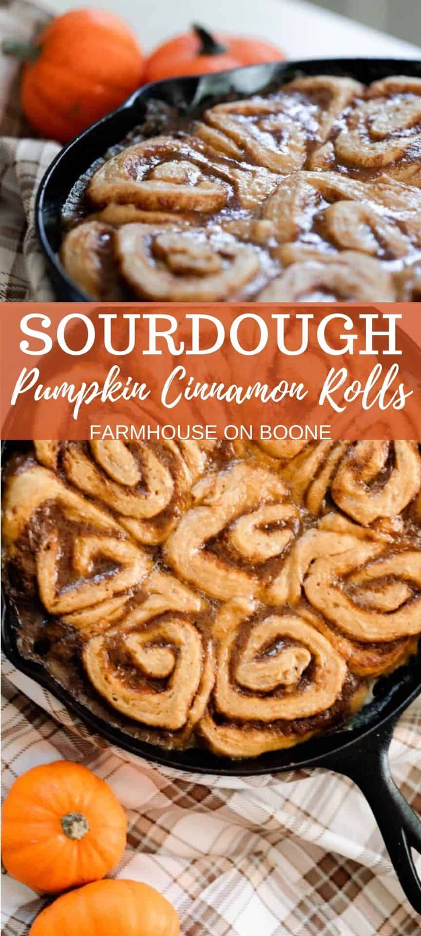 Pumpkin Spice Cinnamon Rolls with Maple Icing - Sarah's Day Off