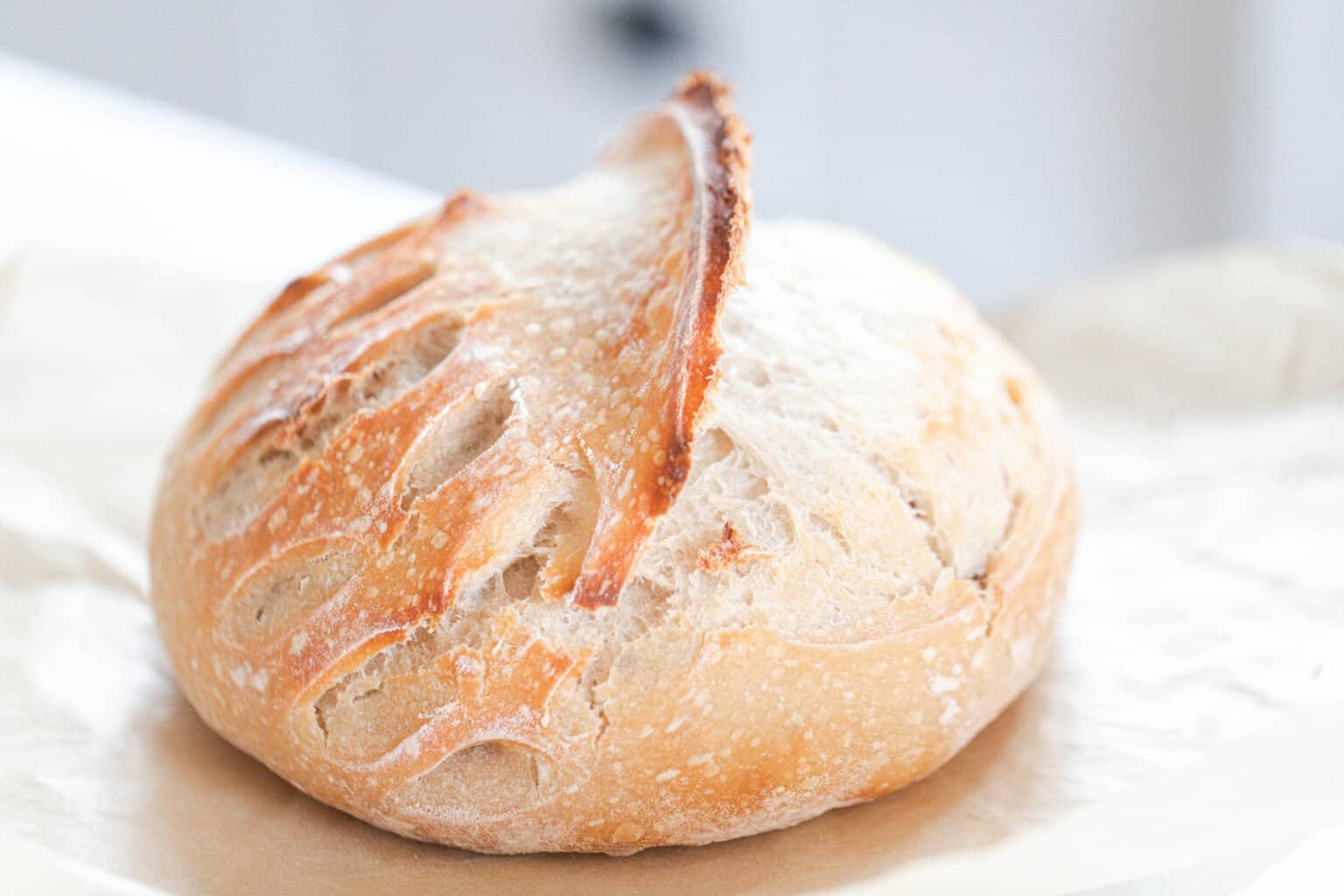 Sourdough Scoring - How To Make Beautiful Sourdough Bread - Farmhouse ...