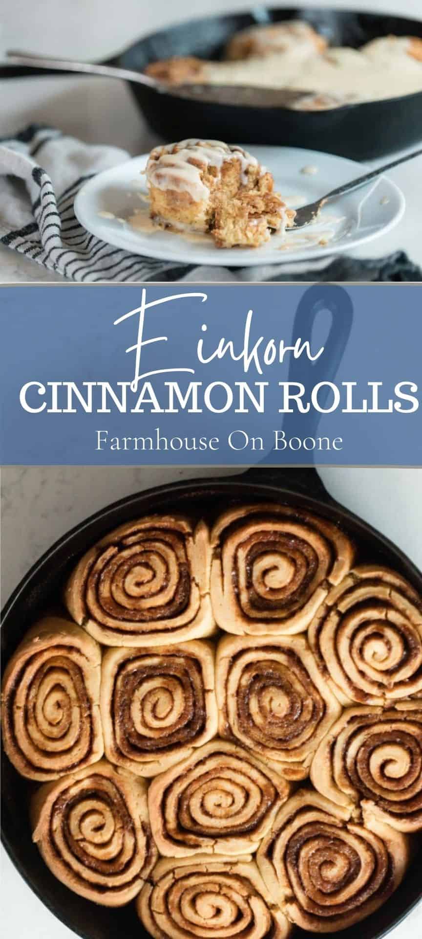 Cinnamon Rolls (pan) – Clasen's European Bakery