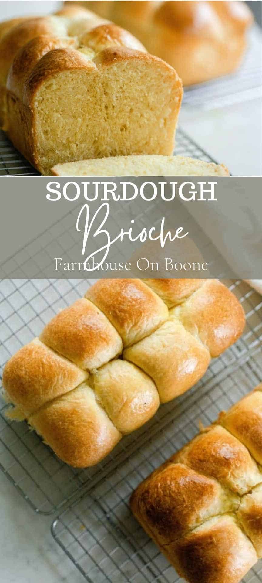 Sourdough Brioche - Farmhouse on Boone