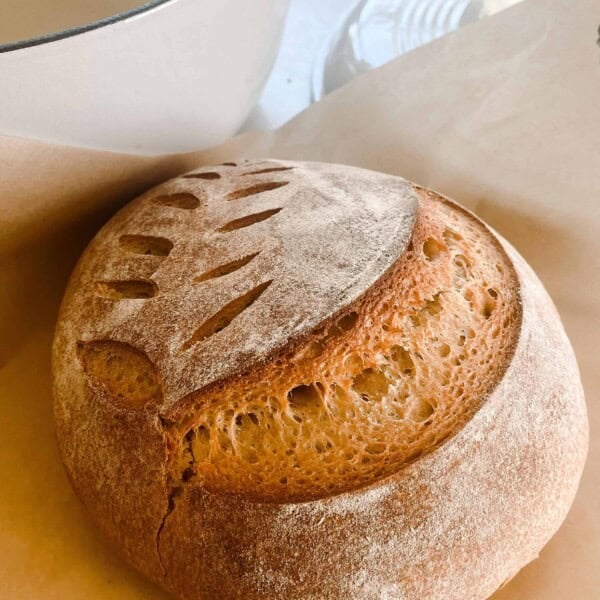 whole wheat sourdough bread with a wheat pattern and large score baked into the bread. The loaf is on parchment paper with a white dutch oven in the background.