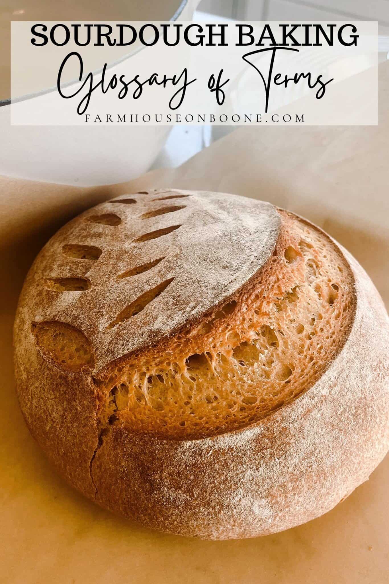 Sourdough Baking Glossary Of Terms - Farmhouse on Boone