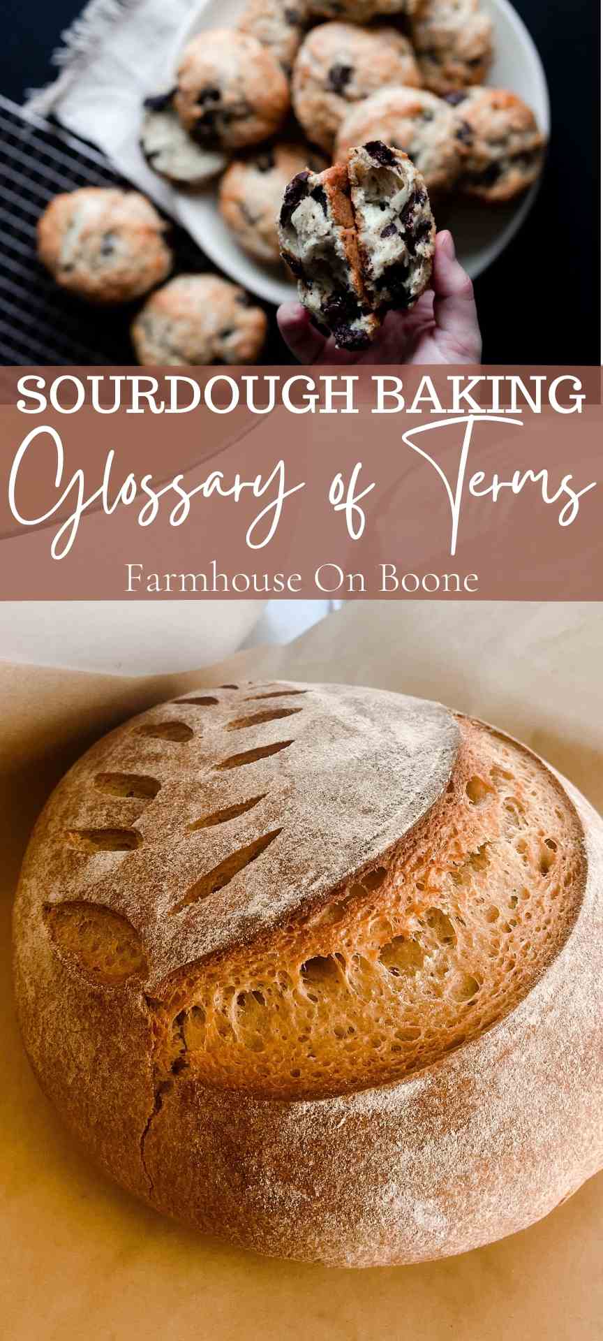 sourdough-baking-glossary-of-terms-farmhouse-on-boone