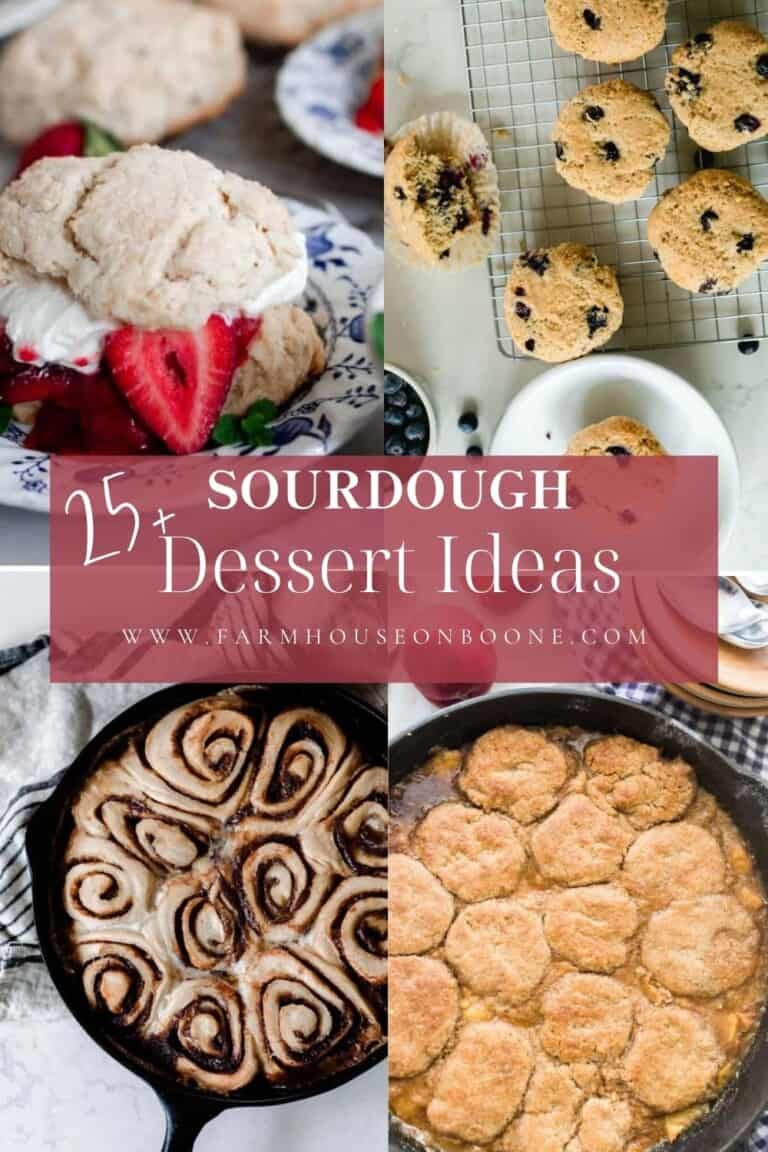 25+ Sourdough Dessert Ideas - Farmhouse on Boone