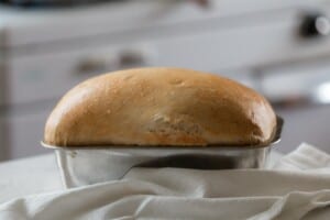 Sourdough Sandwich Bread - Farmhouse On Boone