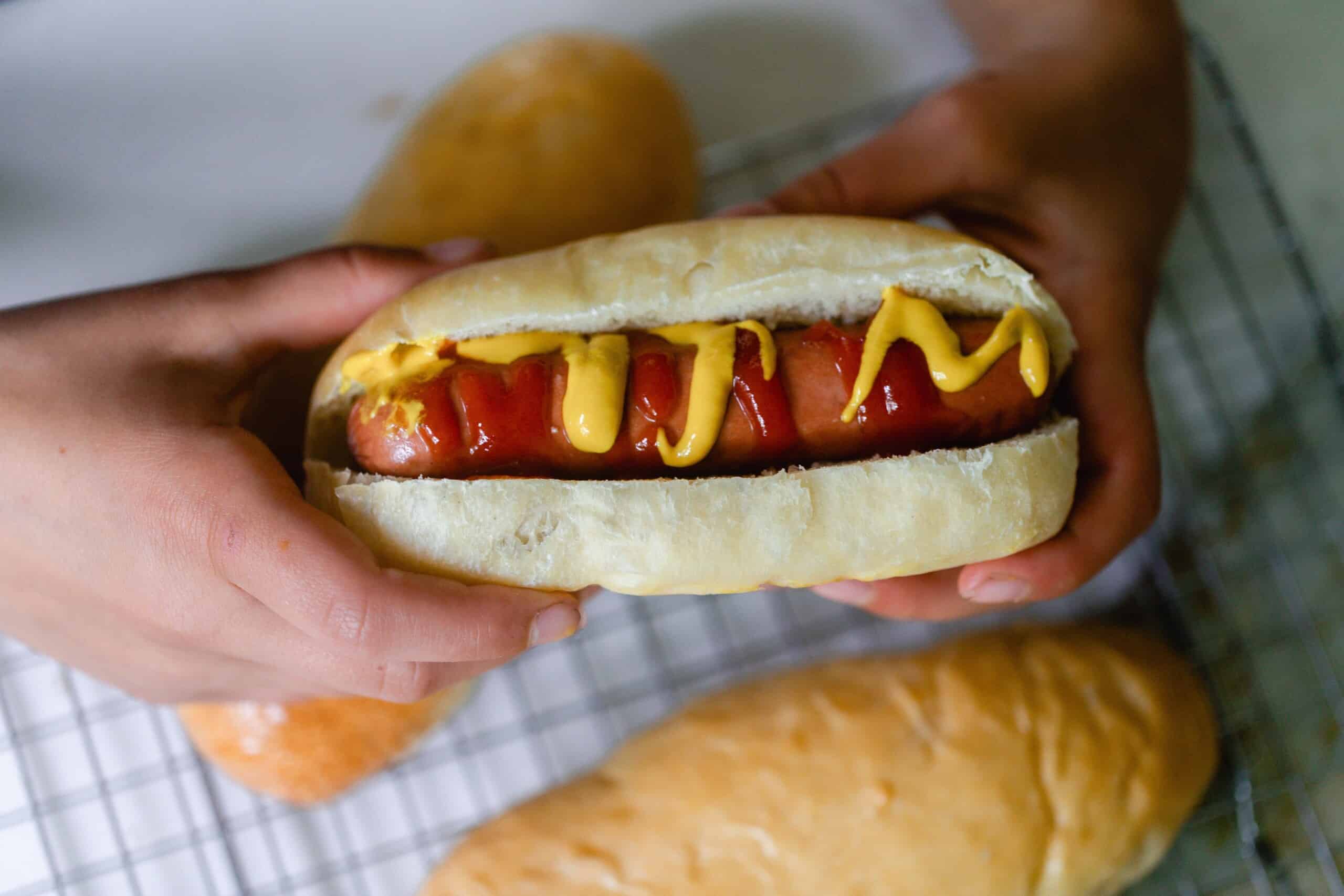 wiener dog in a hot dog bun