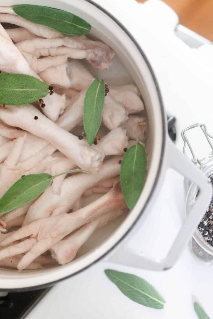 chicken feet with bay leaves and water in a white dutch oven on a stove