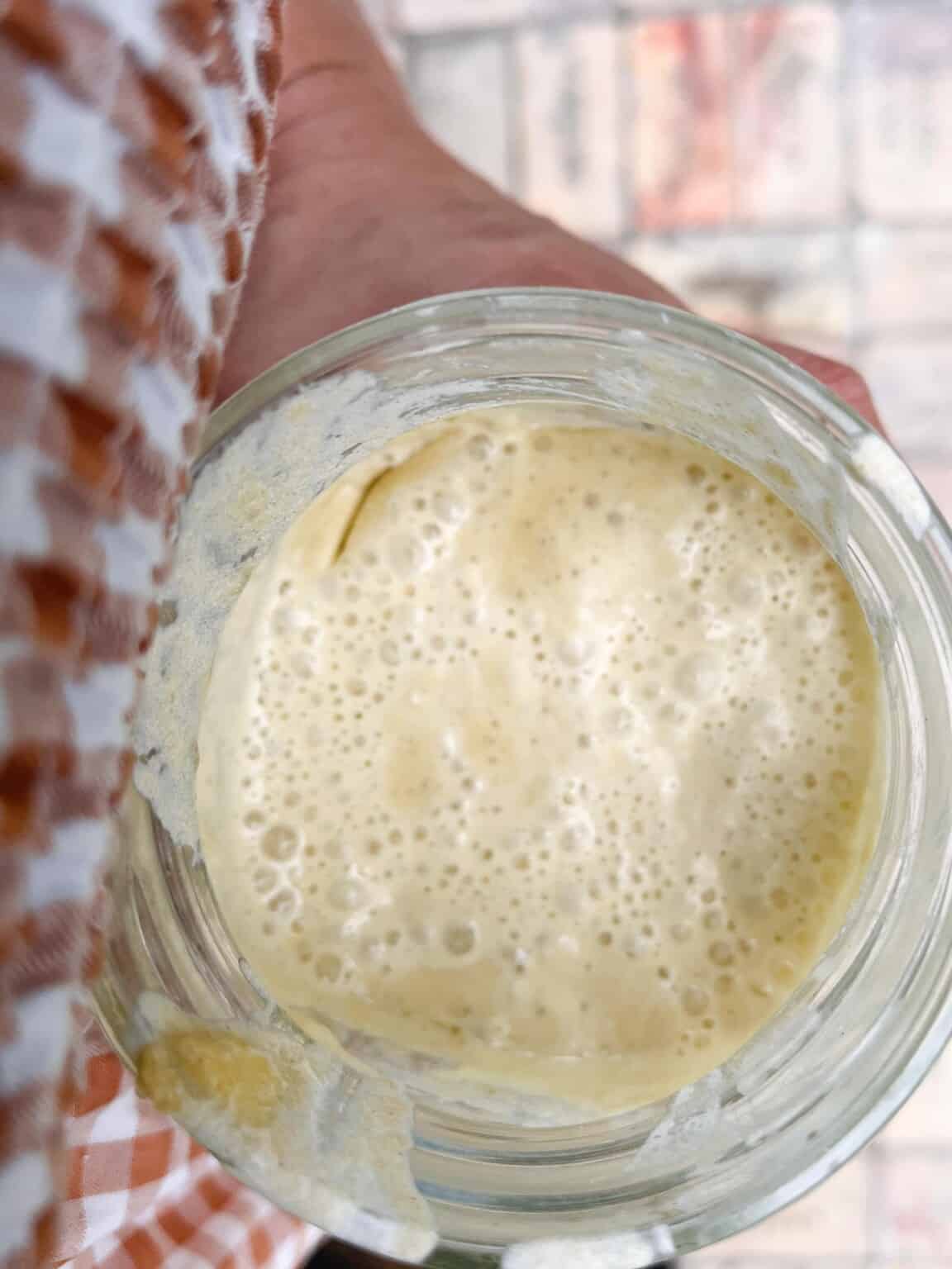 Einkorn Sourdough Starter - Farmhouse On Boone