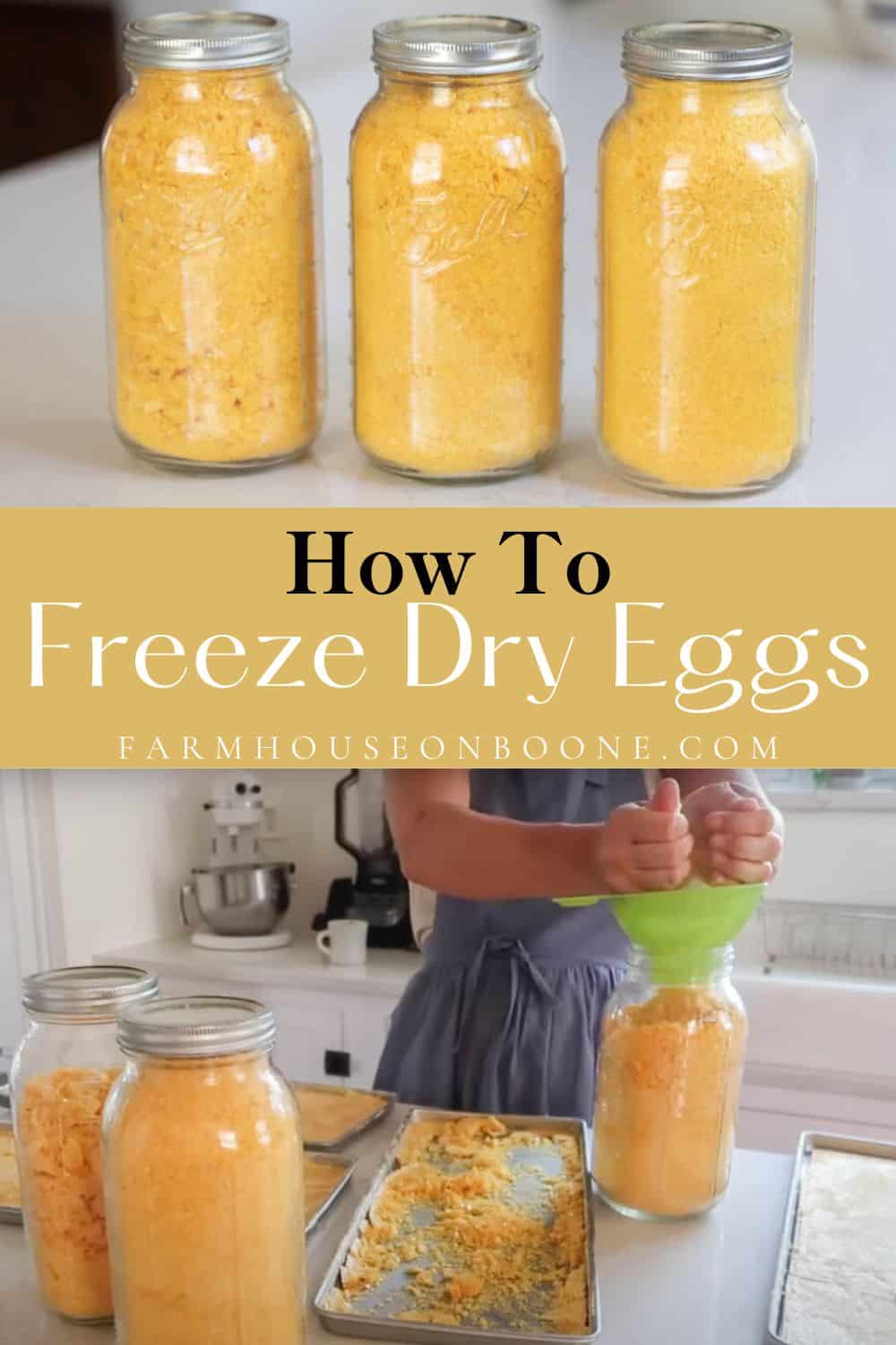 how-to-freeze-dry-eggs-farmhouse-on-boone