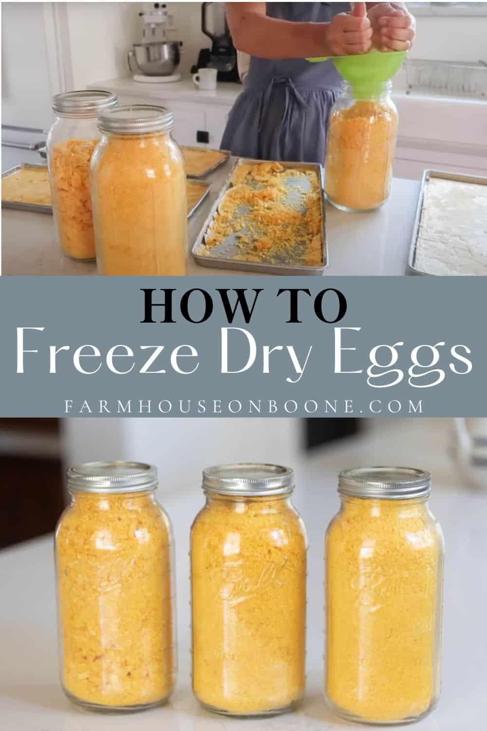 how-to-freeze-dry-eggs-farmhouse-on-boone