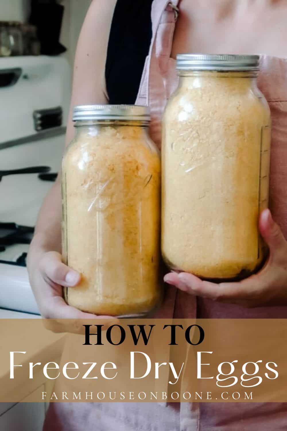 how-to-freeze-dry-eggs-farmhouse-on-boone