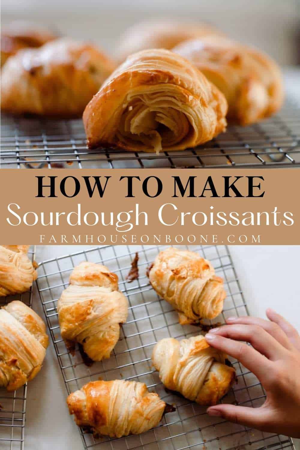 sourdough-croissants-farmhouse-on-boone