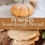 https://www.farmhouseonboone.com/wp-content/uploads/2022/09/sourdough-pumpkin-bread-12-150x150.jpg