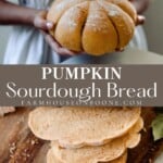 https://www.farmhouseonboone.com/wp-content/uploads/2022/09/sourdough-pumpkin-bread-13-150x150.jpg