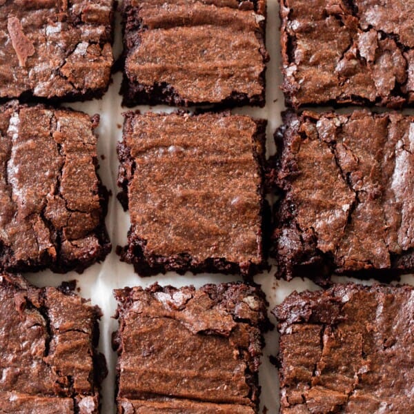 fudgy sourdough brownies cut into 9 squares on parchment paper.