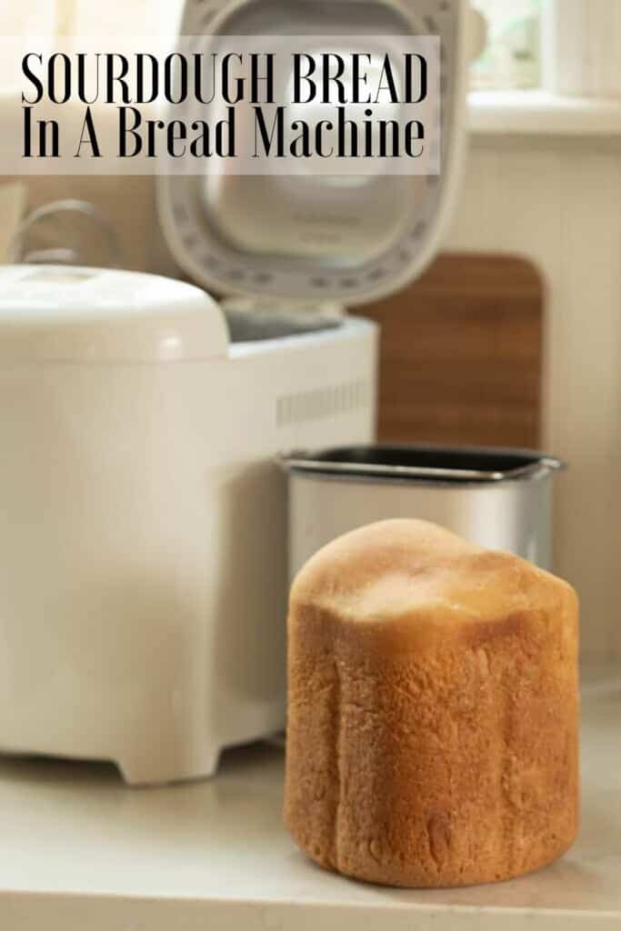 Everything You Need To Know About The Neretva Bread Machine (Bad