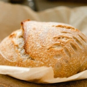 close up of a boule of spelt sourdough bread with a wheat pattern baked into the loaf. The loaf of bread rests on parchment paper on a wooden cutting board.