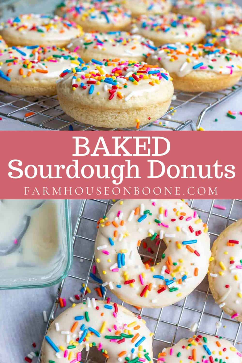 Baked Sourdough Donuts - Farmhouse on Boone