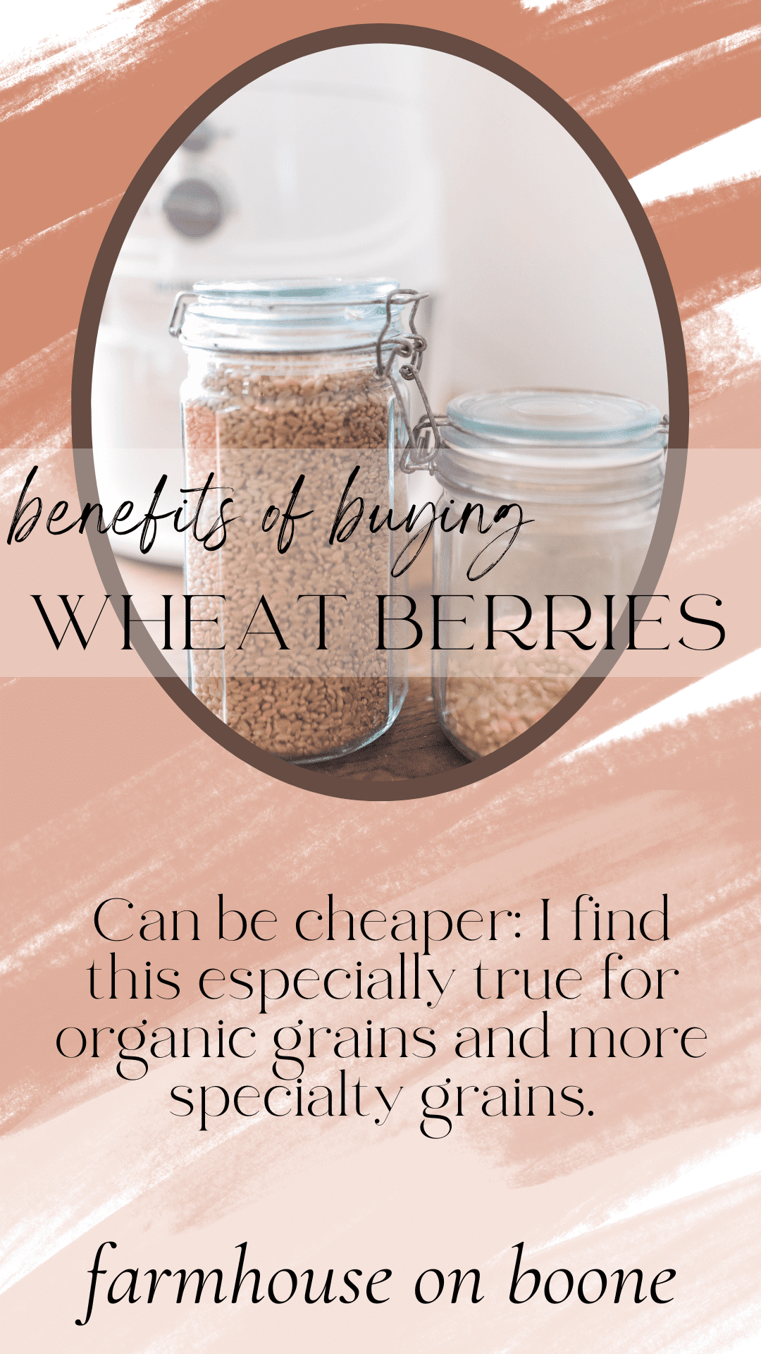 https://www.farmhouseonboone.com/wp-content/uploads/2023/03/buyingwheatberries4.png