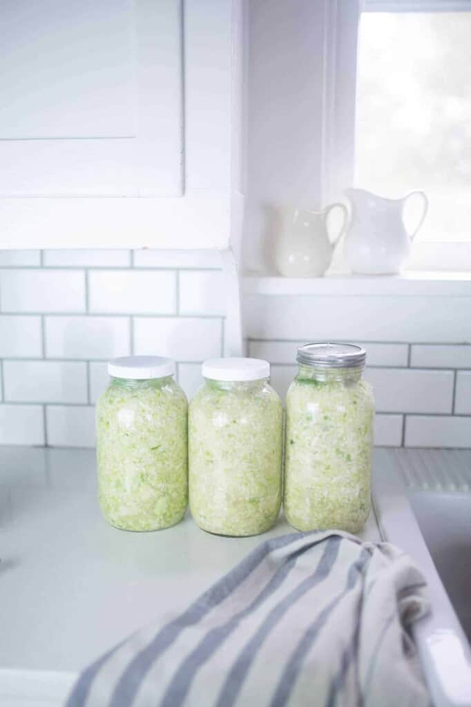 Three jars filled with fermenting cabbage.