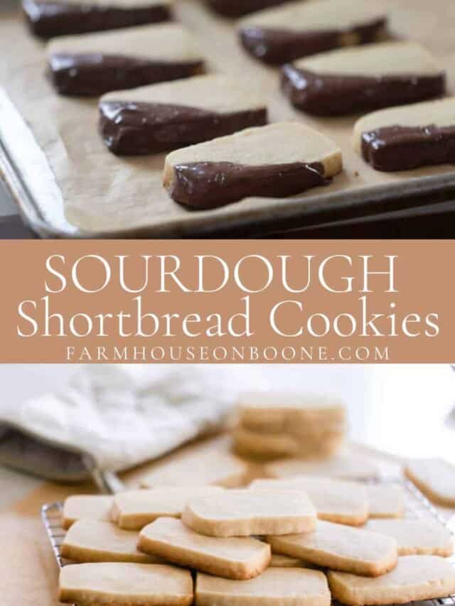 cropped-sourdough-shortbread-cookies-5.jpg